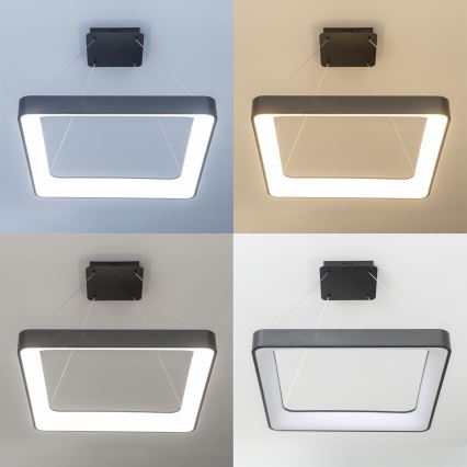 Brilagi - LED-himmennettävä riippuvalaisin vaijerilla FALCON II LED/125W/230V 3000-6500K 60x60 cm musta + kaukosäädin