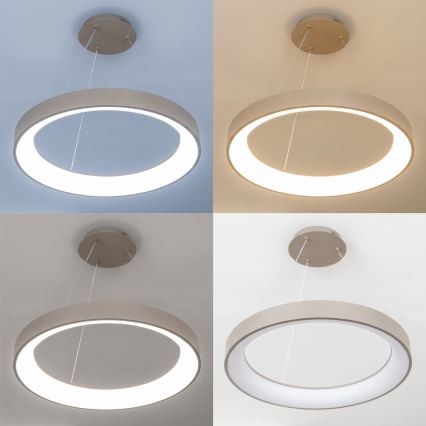 BRILAGI - Himmennettävä LED-riippuvalaisin kaapelilla FALCON II LED/99W/230V 3000-6500K halkaisija 60 cm beige + kaukosäädin