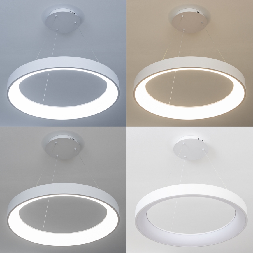 Brilagi - Himmennettävä LED-riippuvalaisin vaijerilla FALCON II LED/99W/230V 3000-6500K halkaisija 60 cm valkoinen + kaukosäädin