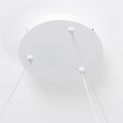 Brilagi - Himmennettävä LED-riippuvalaisin vaijerilla FALCON SLIM LED/42W/230V 3000-6500K halkaisija 50 cm valkoinen + kaukosäädin