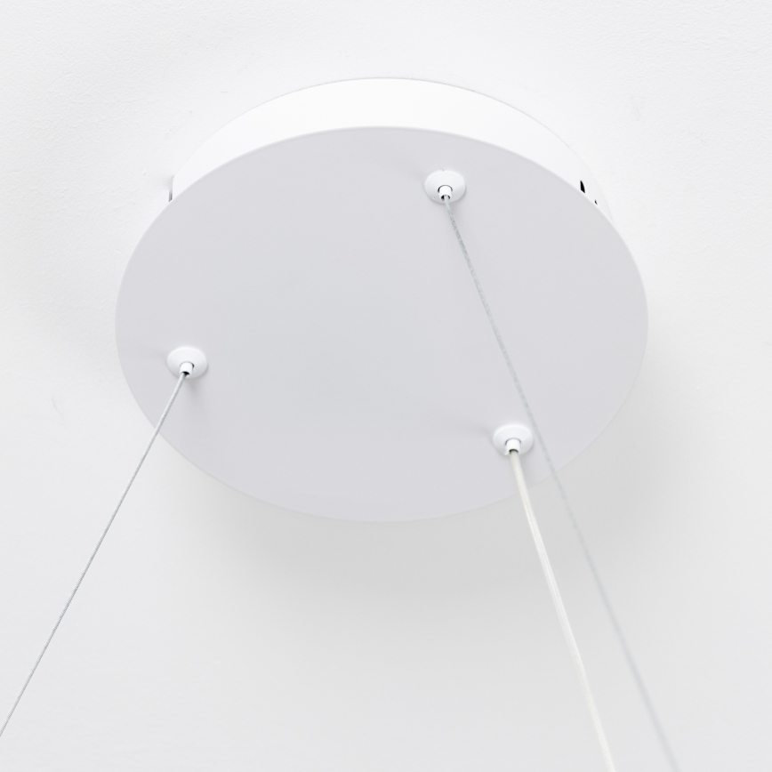 Brilagi - Himmennettävä LED-riippuvalaisin vaijerilla FALCON SLIM LED/42W/230V 3000-6500K halkaisija 50 cm valkoinen + kaukosäädin