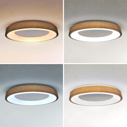 Brilagi - DORIA himmennettävä LED-kattovalaisin LED/60W/230V 3000-6500K Ø 60 cm + kaukosäädin