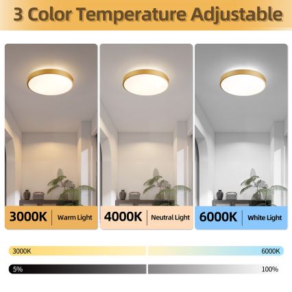 Brilagi - himmennettävä LED-kattovalaisin GLASS POOL DOUBLE LED/48W/230V 3000-6000K 40 cm kultainen + kaukosäädin