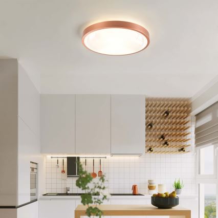 BRILAGI - LED-himmennettävä kattovalaisin GLASS POOL DOUBLE LED/48W/230V Ø 40 cm kuparinvärinen + kaukosäädin