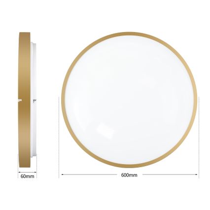 Brilagi - LED-himmennettävä kattovalaisin GLASS POOL DOUBLE LED/80W/230V 3000-6000K 60 cm kultainen + kaukosäädin