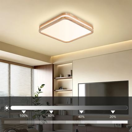 BRILAGI - LED-himmennettävä kattovalaisin MOLINA SQUARE LED/48W/230V 3000-6000K tammi 40x40 cm + kaukosäädin