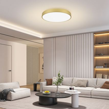 Brilagi - LED-himmennettävä kattovalaisin POOL SMART LED/100W/230V 3000-6000K 80 cm kultainen Wi-Fi Tuya + kaukosäädin