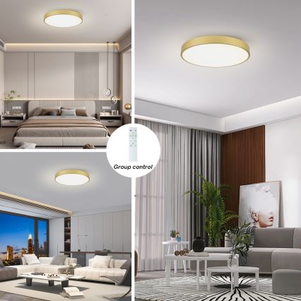 Brilagi - LED-himmennettävä kattovalaisin POOL SMART LED/100W/230V 3000-6000K 80 cm kultainen Wi-Fi Tuya + kaukosäädin