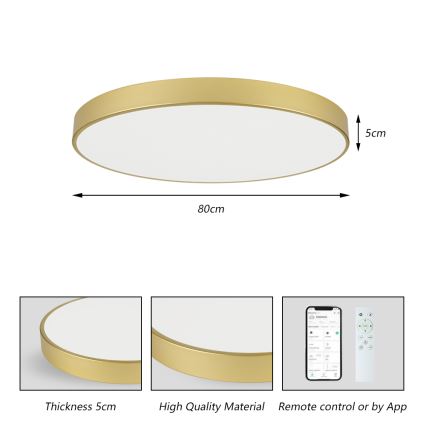 Brilagi - LED-himmennettävä kattovalaisin POOL SMART LED/100W/230V 3000-6000K 80 cm kultainen Wi-Fi Tuya + kaukosäädin