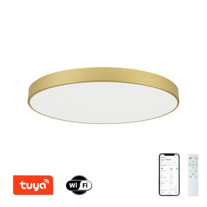 Brilagi - Himmennettävä LED-kattovalaisin POOL SMART LED/128W/230V 3000-6000K 100 cm kultainen Wi-Fi Tuya + kaukosäädin