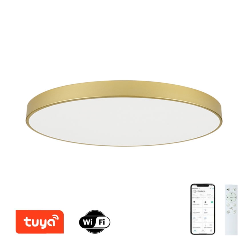 Brilagi - LED himmennettävä kattovalaisin POOL SMART LED/180W/230V 3000-6000K 120 cm kultainen Wi-Fi Tuya + kaukosäädin