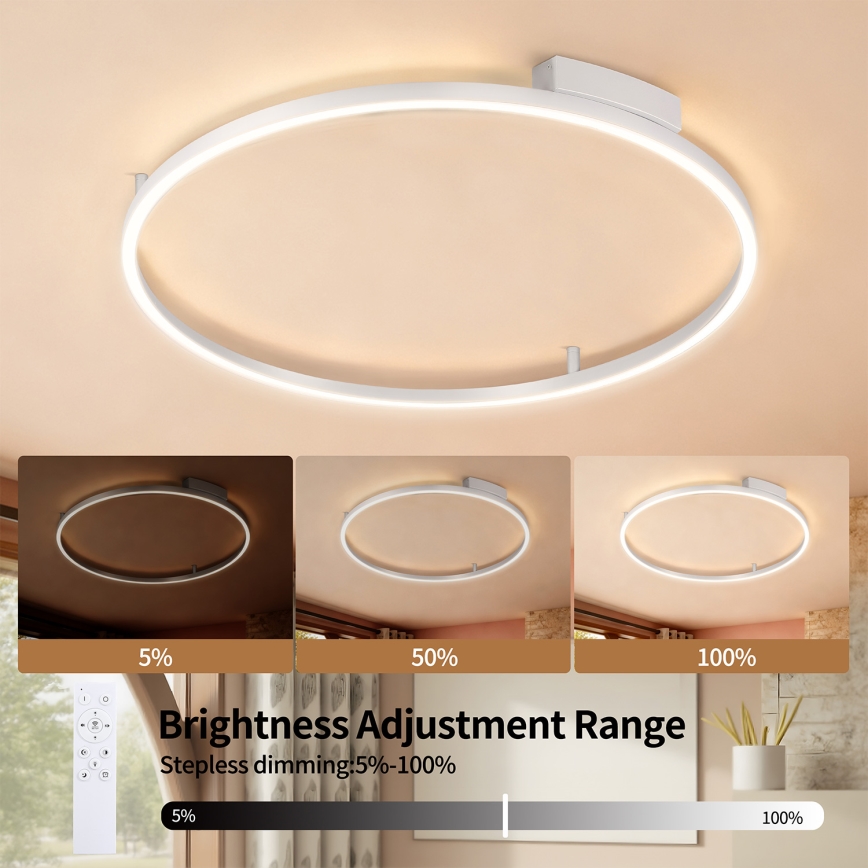 Brilagi - PORTOFINO himmennettävä LED-kattovalaisin LED/60W/230V 3000-6000K halkaisija 80 cm hopea + kaukosäädin