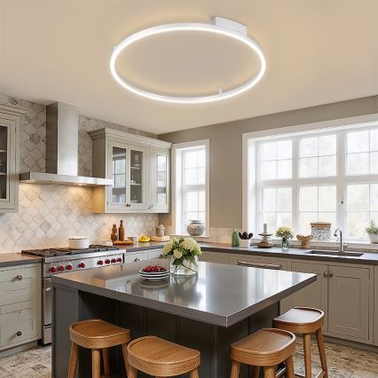Brilagi - PORTOFINO himmennettävä LED-kattovalaisin LED/60W/230V 3000-6000K halkaisija 80 cm hopea + kaukosäädin