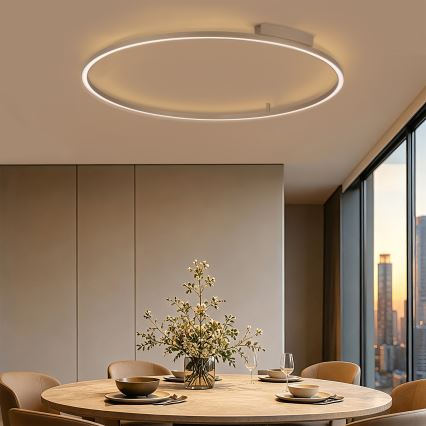 Brilagi - PORTOFINO himmennettävä LED-kattovalaisin LED/85W/230V 3000-6000K Ø 120 cm beige + kaukosäädin