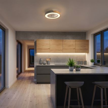 Brilagi - Himmennettävä LED-kattovalaisin tuulettimella LED/38W/230V 3000–6500K 3000–6500K Ø 50 cm harmaa/tammi + kaukosäädin