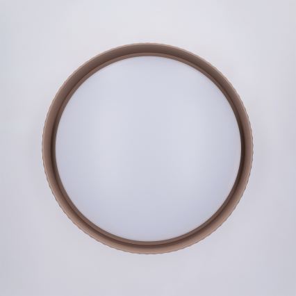 Brilagi - LED-himmennettävä kattovalaisin LUCIA LED/48W/230V 3000-6500K Ø 41 cm ruskea + kaukosäädin