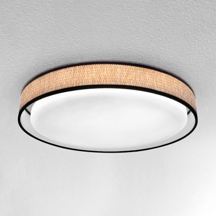 Brilagi - LED himmennettävä kattovalaisin PILAR LED/48W/230V 3000-6500K halkaisija 43 cm + kaukosäädin