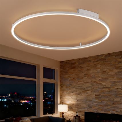 Brilagi - Himmennettävä LED-kattovalaisin PORTOFINO LED/85W/230V 3000-6000K halkaisija 120 cm hopeanvärinen + kaukosäädin