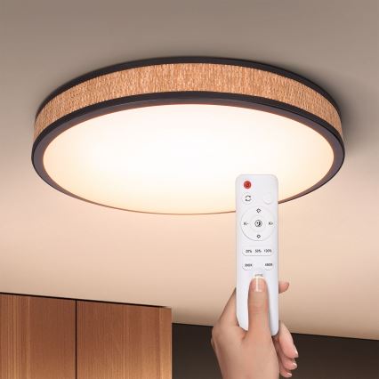 Brilagi - LED himmennettävä kattovalaisin ROSA LED/48W/230V 3000-6500K halkaisija 38 cm + kaukosäädin