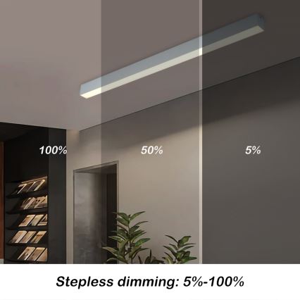 Brilagi - LED-himmennettävä kattovalaisin SLEEKLINE SMART LED/40W/230V 3000-6000K Wi-Fi Tuya hopea + kaukosäädin