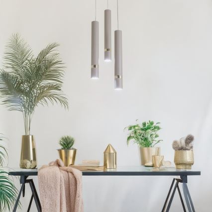 Brilagi - Kattokruunu johdossa POKER 3xGU10/25W/230V beige/kulta