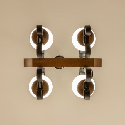 Brilagi - Kattokruunu ketjussa QUEEN 4xE14/40W/230V pyökki/saksanpähkinä