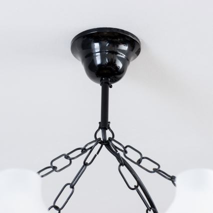 Brilagi - Kattokruunu ketjussa QUEEN 8xE14/40W/230V pyökki/saksanpähkinä