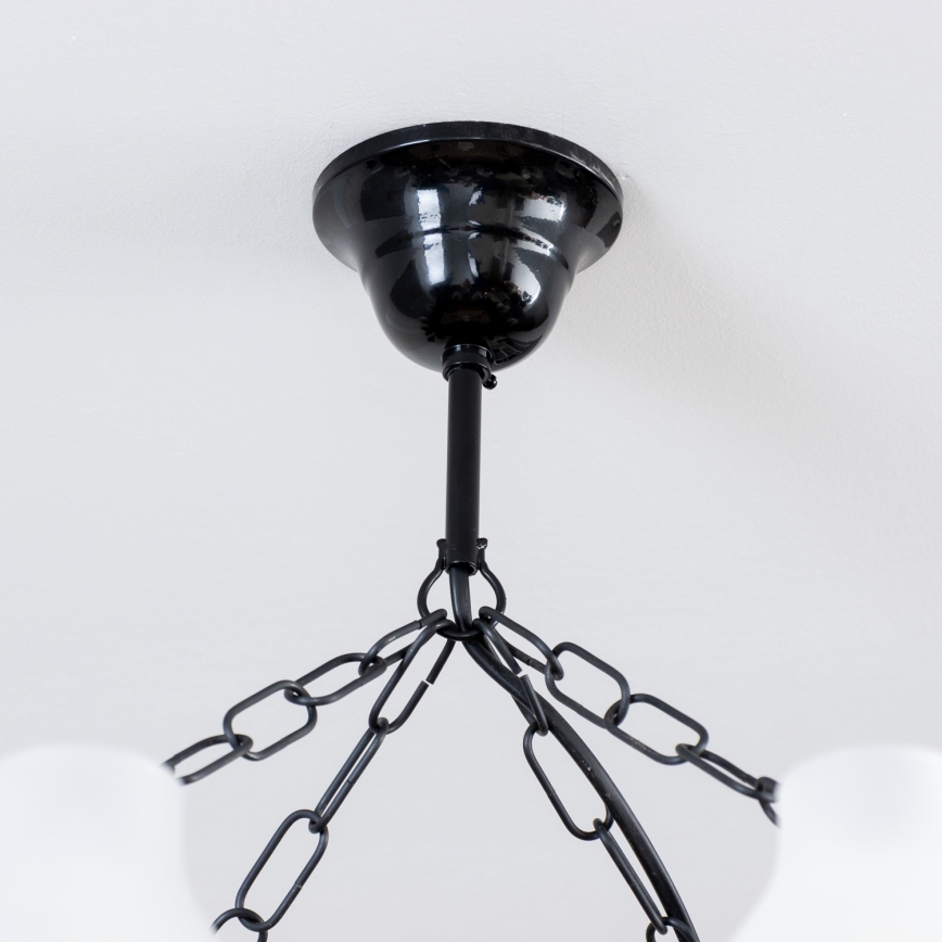 Brilagi - Kattokruunu ketjussa QUEEN 8xE14/40W/230V pyökki/saksanpähkinä