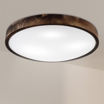 Brilagi - Kattovalaisin CARVALHO SLIM SMOKEY 3xE27/60W/230V tammi, Ø 47,5 cm