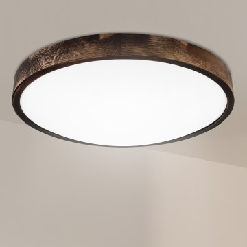 Brilagi - Kattovalaisin CARVALHO SMOKEY 3xE27/15W/230V tammi, halkaisija 47,5 cm