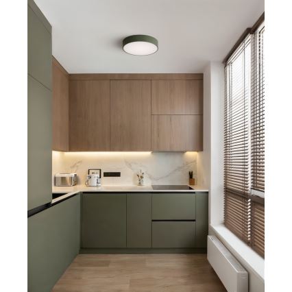 Brilagi - Kattovalaisin CLARE 2xE27/24W/230V halkaisija 30 cm khaki