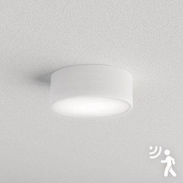 Brilagi - Kattovalaisin CLARE tunnistimella 1xE27/40W/230V, halkaisija 20 cm, valkoinen