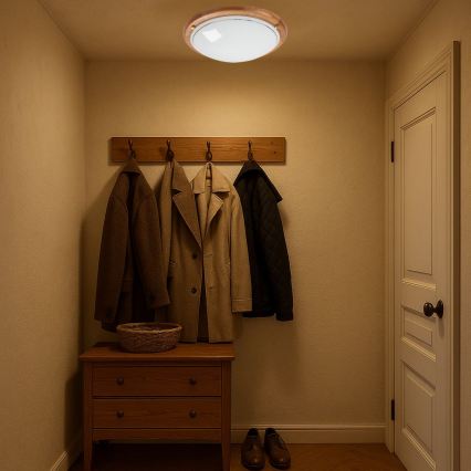 Brilagi - Kattovalaisin ORBIS 2xE27/60W/230V halkaisija 38 cm mänty