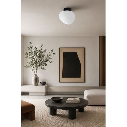 BRILAGI - Kattovalaisin PEBBLES 1xE27/40W/230V Ø 20 cm musta