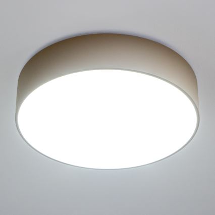 BRILAGI - Kattovalaisin POOL 4xE27/15W/230V Ø 50 cm IP54 beige