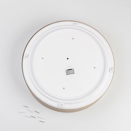 BRILAGI - Kattovalaisin POOL 4xE27/15W/230V Ø 50 cm IP54 beige