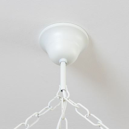Brilagi - Ketjulla varustettu riippuvalaisin QUEEN 6xE14/40W/230V pyökki/kerma