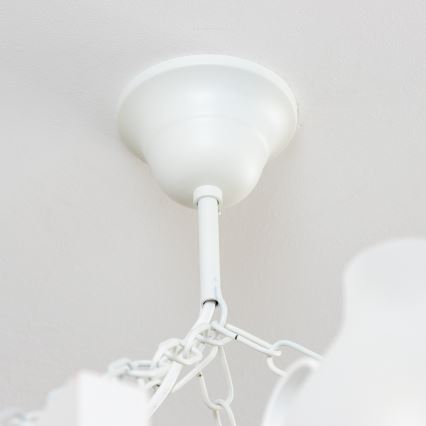 Brilagi - Ketjullinen kattokruunu QUEEN 8xE14/40W/230V pyökki/kerma