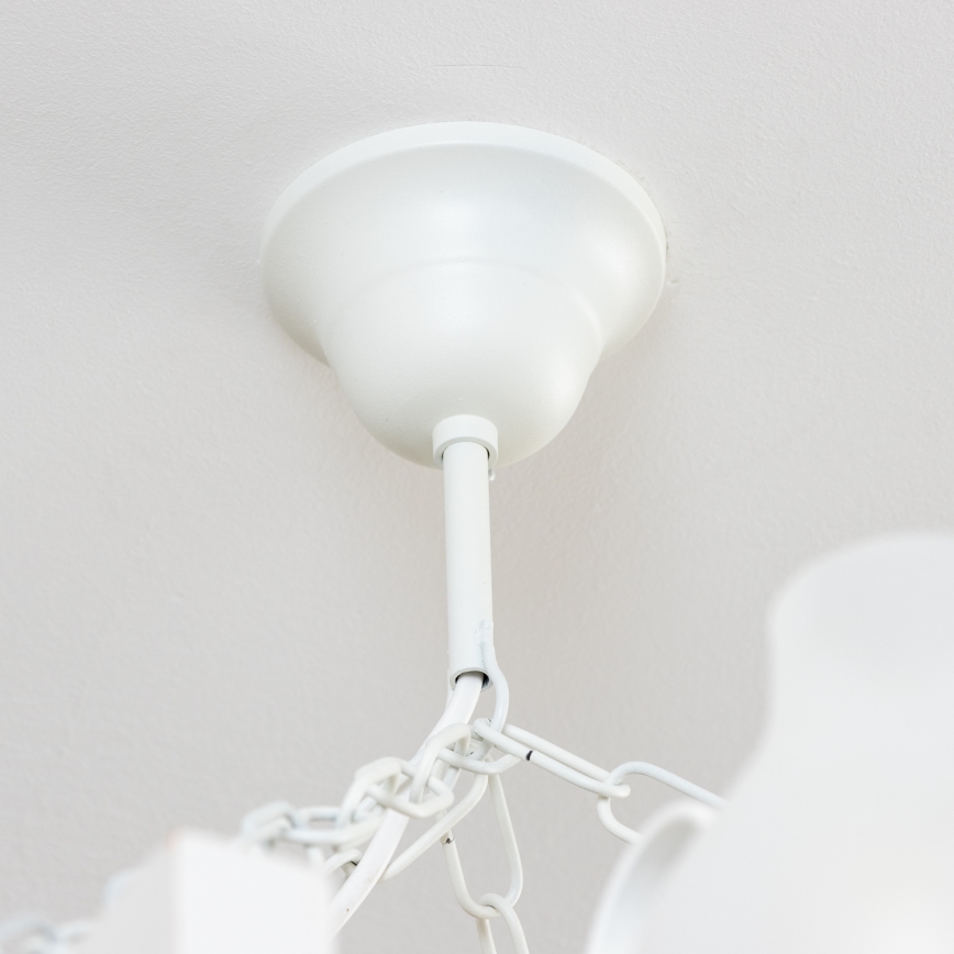 Brilagi - Ketjullinen kattokruunu QUEEN 8xE14/40W/230V pyökki/kerma