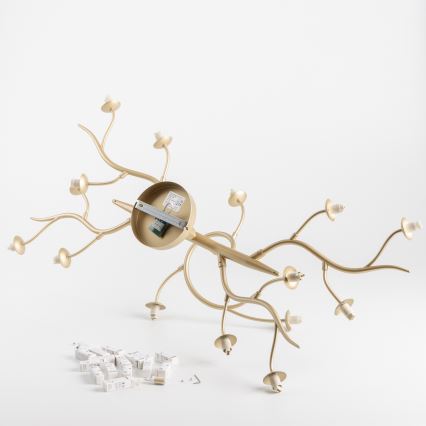 Brilagi - Kiinteä LED-kattokruunu MISTEL 15xG9/3W/230V kulta/valkoinen