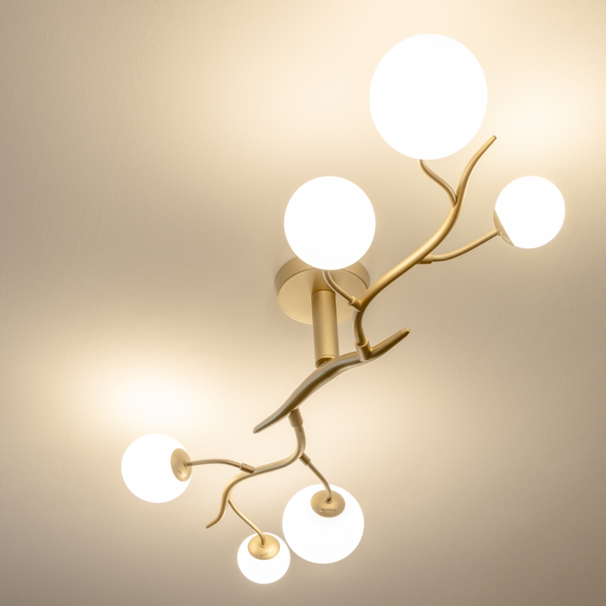 Brilagi - Kiinteä LED-kattokruunu MISTEL 6xG9/3W/230V kulta/valkoinen