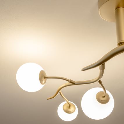 Brilagi - Kiinteä LED-kattokruunu MISTEL 6xG9/3W/230V kulta/valkoinen