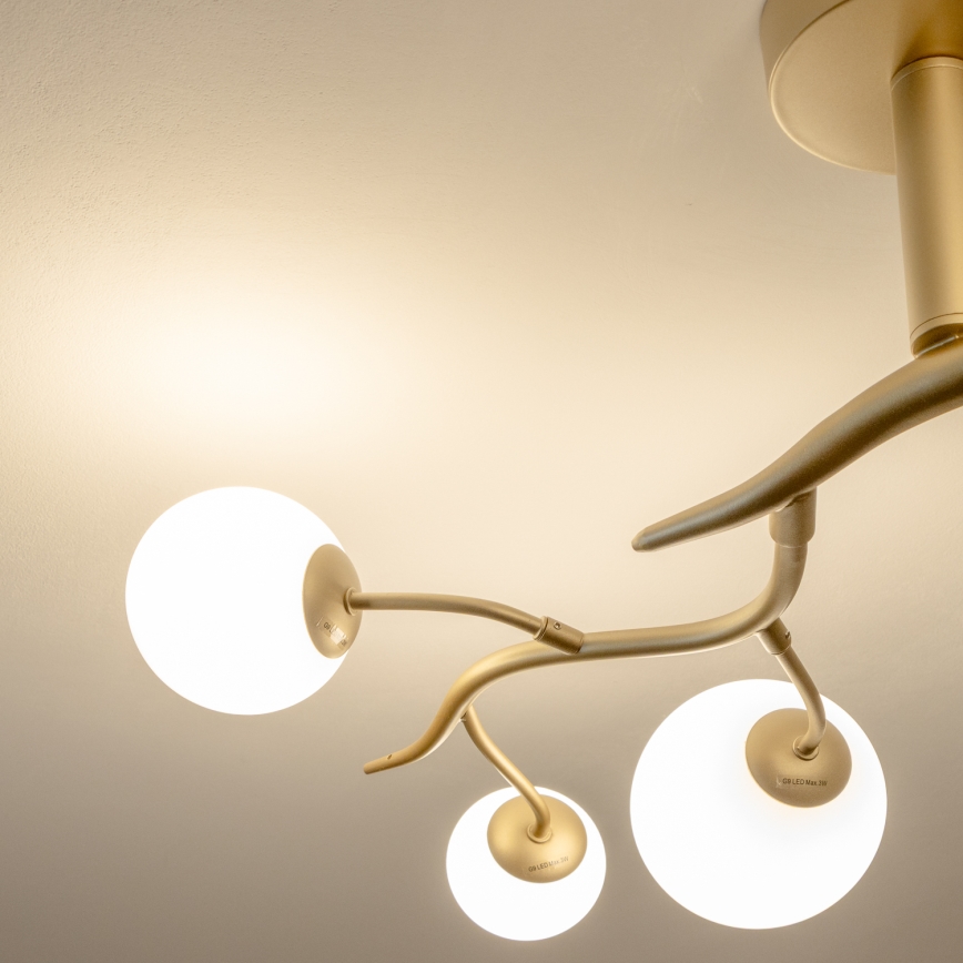 Brilagi - Kiinteä LED-kattokruunu MISTEL 6xG9/3W/230V kulta/valkoinen