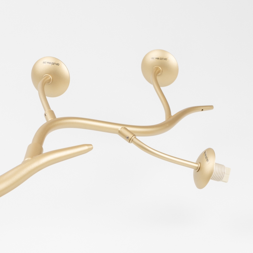 Brilagi - Kiinteä LED-kattokruunu MISTEL 6xG9/3W/230V kulta/valkoinen