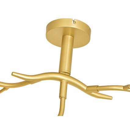 Brilagi - Kiinteä LED-kattokruunu MISTEL 9xG9/3W/230V kulta/valkoinen