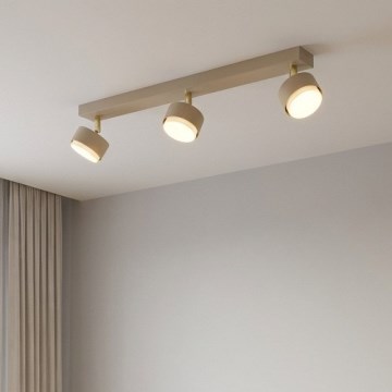 Brilagi - Kohdevalaisin 3xGX53/12W/230V beige