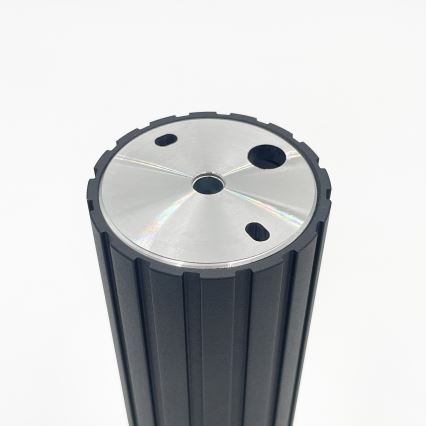 Brilagi - Kohdevalaisin CRISPINA 1xGU10/10W/230V 20 cm musta