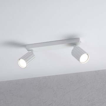Brilagi - Kohdevalaisin CRISPINA 2xGU10/10W/230V valkoinen