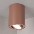 BRILAGI - Kohdevalaisin MIA 1xGU10/30W/230V 100x80 mm ruskea