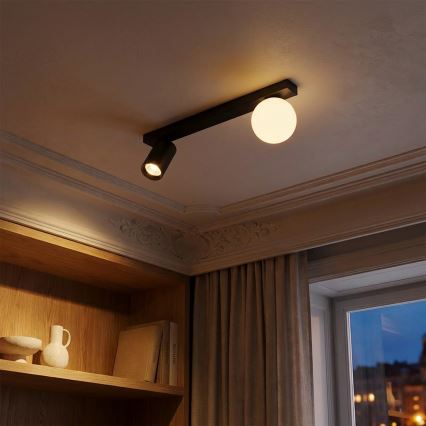 Brilagi - Kohdevalaisin SELE BALL 1xGU10/30W/230V + 1xG9/10W musta